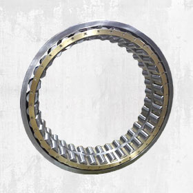 Multi-Row Cylindrical Roller Bearings